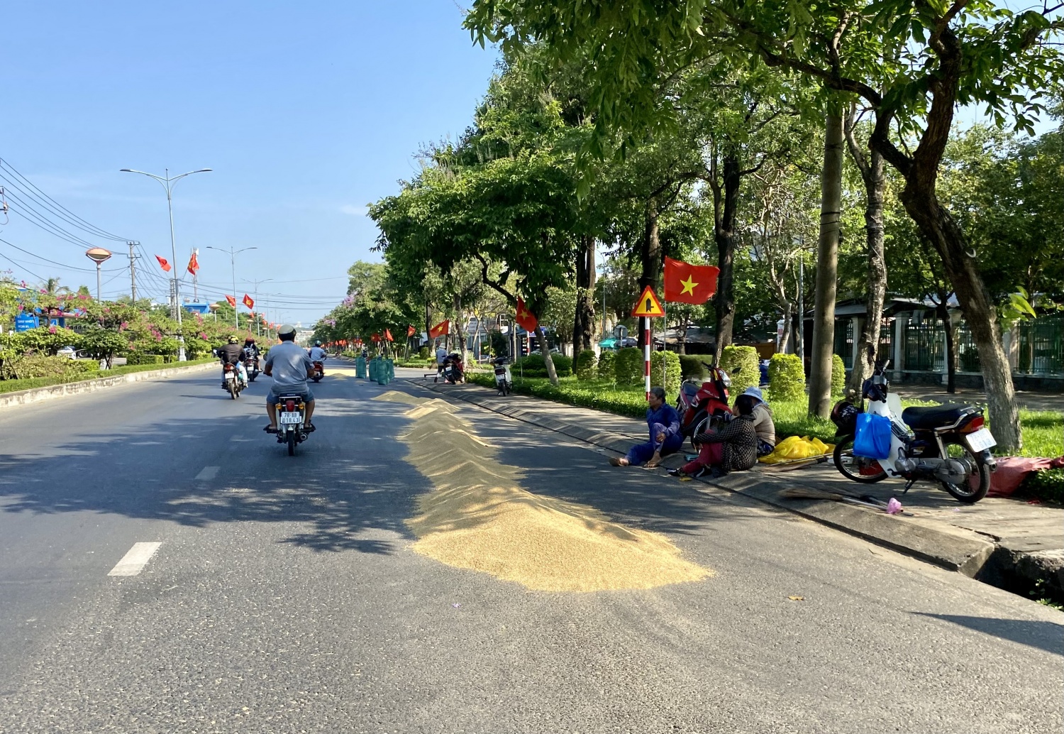 Tái diễn phơi lúa trên mặt đường quốc lộ Tái diễn phơi lúa trên mặt đường quốc lộ