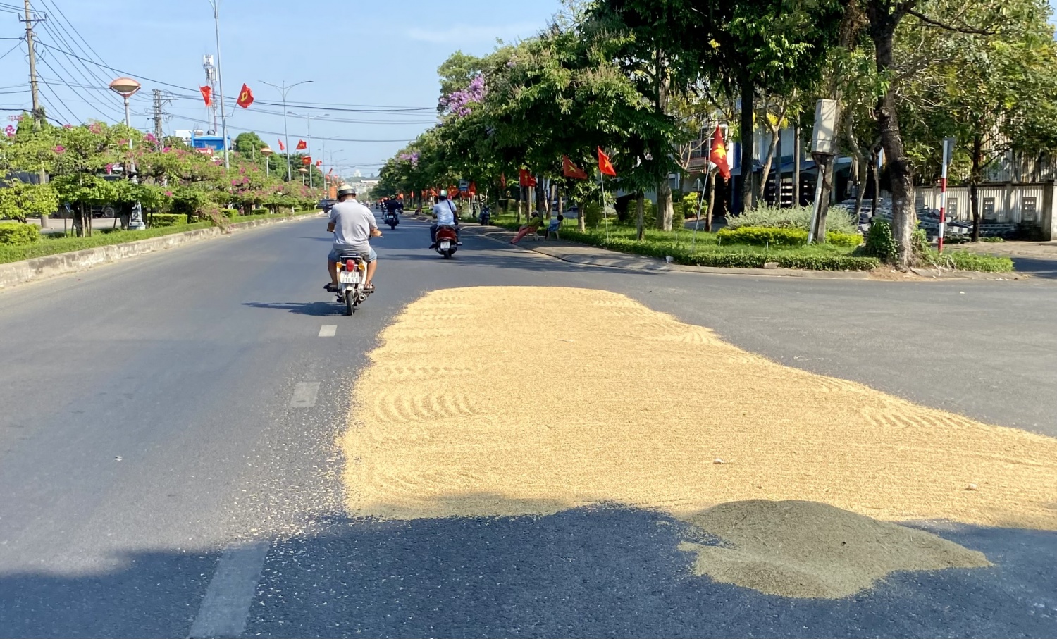 Tái diễn phơi lúa trên mặt đường quốc lộ Tái diễn phơi lúa trên mặt đường quốc lộ