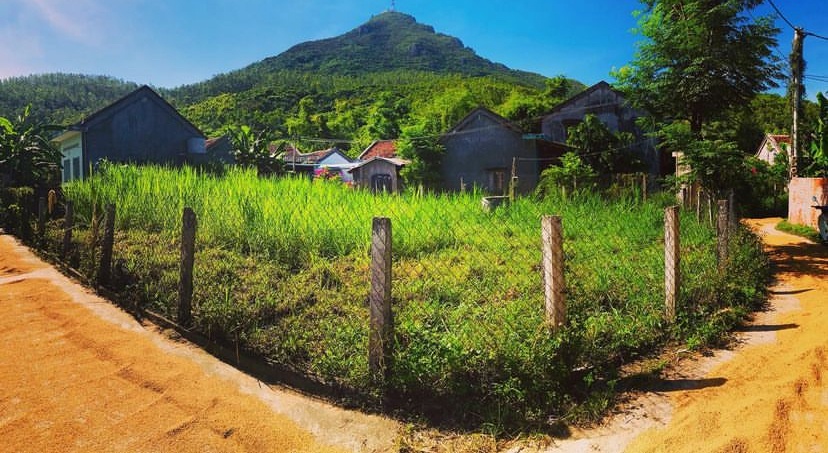 Tái diễn phơi lúa trên mặt đường quốc lộ Tái diễn phơi lúa trên mặt đường quốc lộ