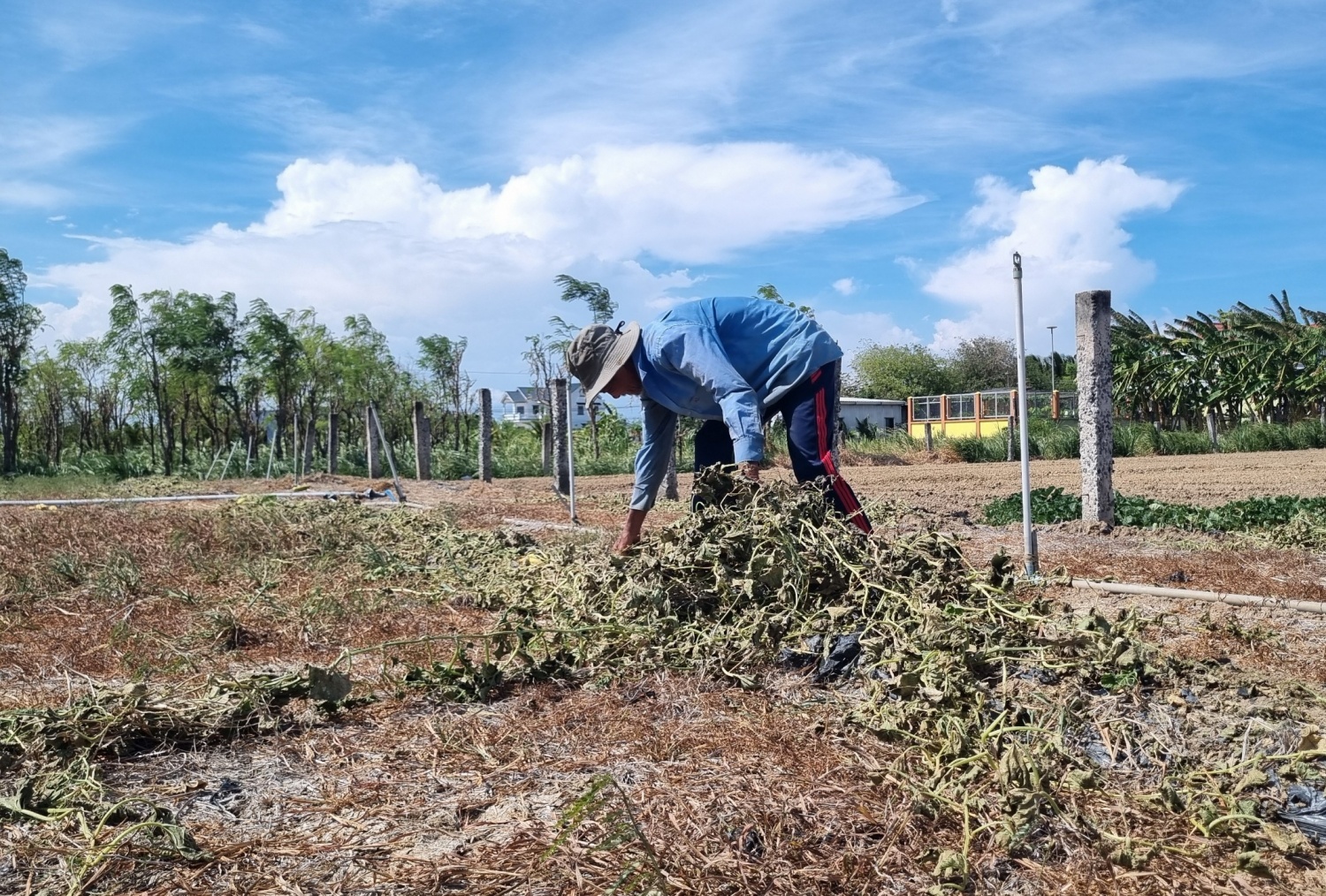 Những giọt nước nghĩa tình trong hạn mặn