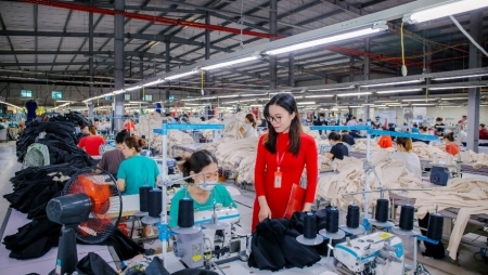 Agribank - Ngân hàng thương mại hàng đầu, chủ lực đầu tư phát triển kinh tế "Tam nông"