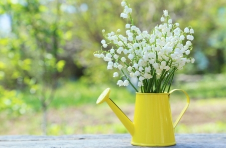 Tử vi ngày 6/5/2024: Tuổi Mão phong độ đỉnh cao, tuổi Ngọ tinh thần phơi phới