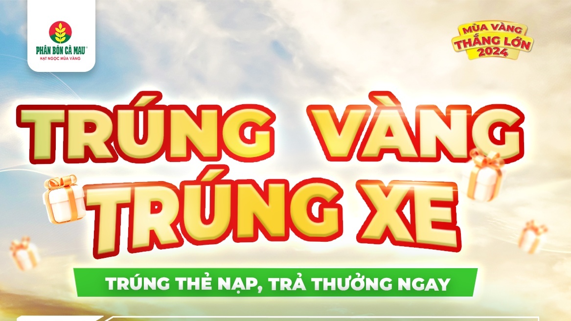 Mùa Vàng Thắng Lớn 2024: Quét mã QRcode để trúng vàng, trúng xe, trúng thẻ nạp trả thưởng ngay