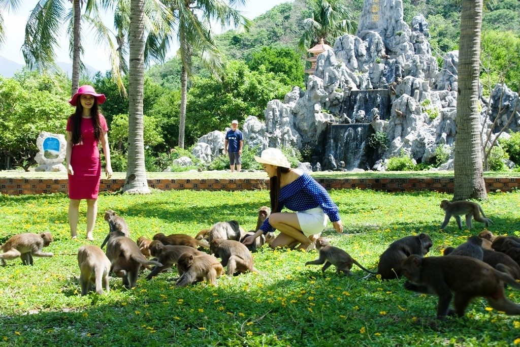 Vịnh Nha Phu