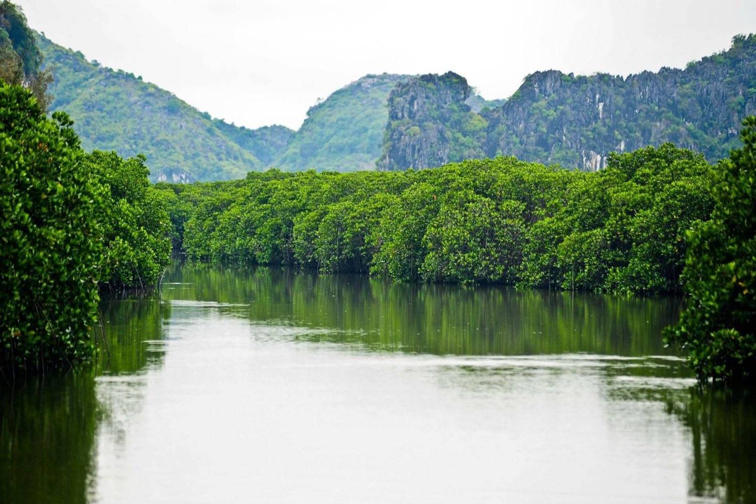 Vịnh Nha Phu