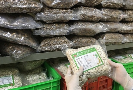 Thủ tướng chỉ đạo tháo gỡ khó khăn trong xuất khẩu dược liệu