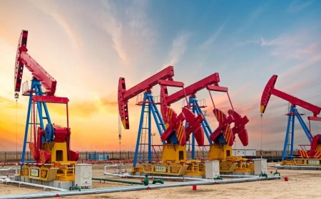 Hoạt động M&A thượng nguồn bước vào chu kỳ điều chỉnh mới