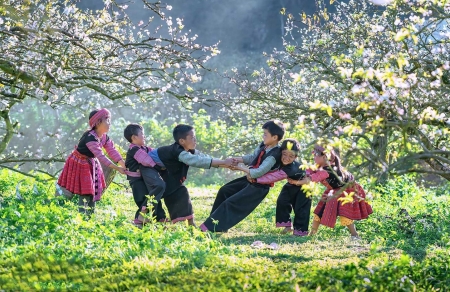 Việt Nam được đề cử nhiều hạng mục quan trọng tại World Travel Awards 2024