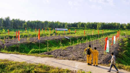 Petrovietnam tăng cường các giải pháp tạo tín chỉ carbon