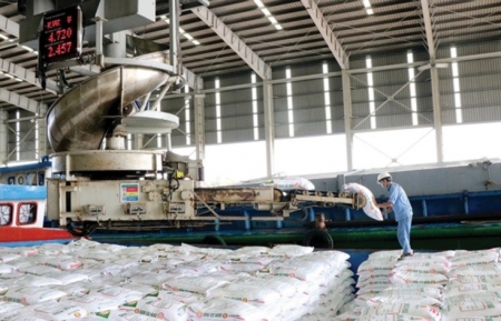 Giải pháp nào mang lại giá trị làm lợi hơn trăm tỉ đồng tại Phân bón Cà Mau