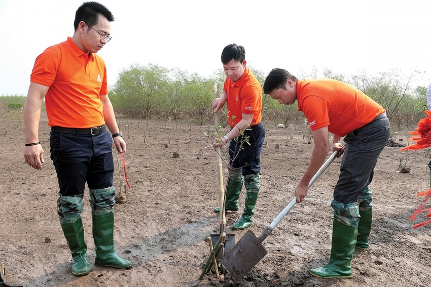 PVEP hành động thích ứng với chuyển dịch năng lượng