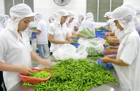 Tin tức kinh tế ngày 18/5: Xuất khẩu rau quả cao kỷ lục