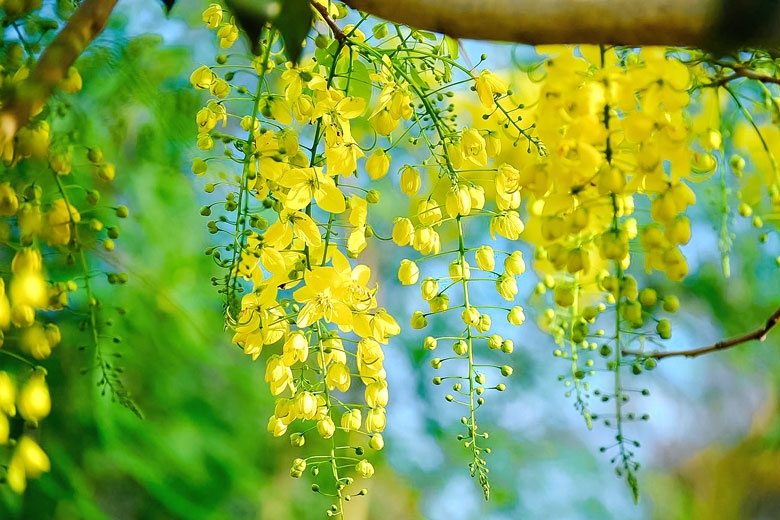 Tử vi ngày 24/5/2024: Tuổi Thìn sự nghiệp thăng hoa, tuổi Ngọ công tư phân rõ Tử vi ngày 24/5/2024: Tuổi Thìn sự nghiệp thăng hoa, tuổi Ngọ công tư phân rõ