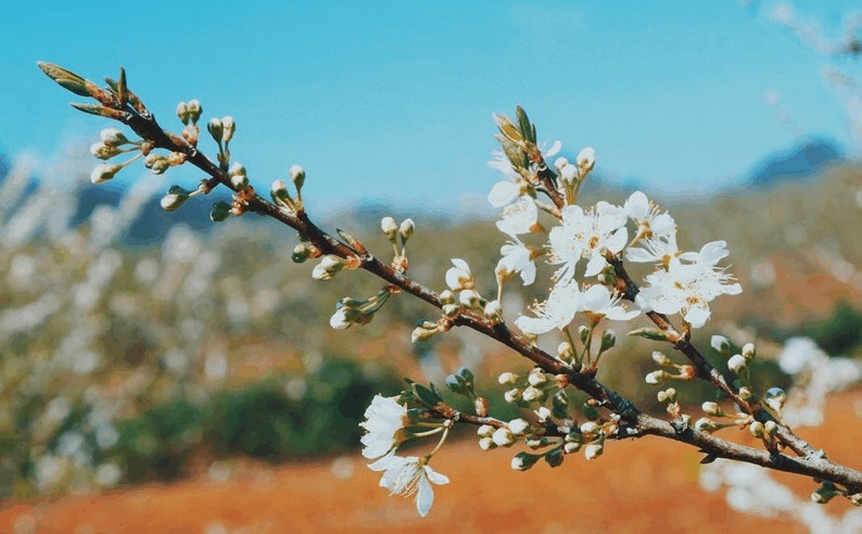 Tử vi ngày 29/5/2024: Tuổi Hợi chinh phục đỉnh cao, tuổi Tuất tin vui bất ngờ
