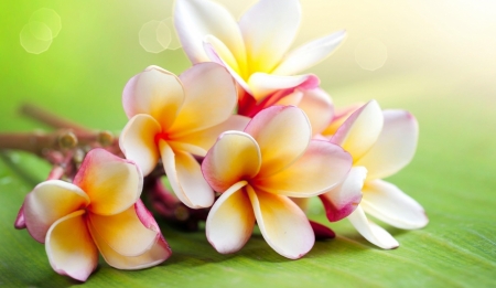 Tử vi ngày 30/5/2024: Tuổi Thìn cải thiện thu nhập, tuổi Ngọ hạnh phúc viên mãn