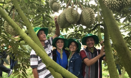 Phân bón Phú Mỹ: Bí quyết cho mùa bội thu với cây dưa hấu và sầu riêng ở miền Trung - Tây Nguyên