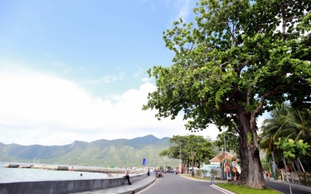 Vì một Côn Đảo xanh