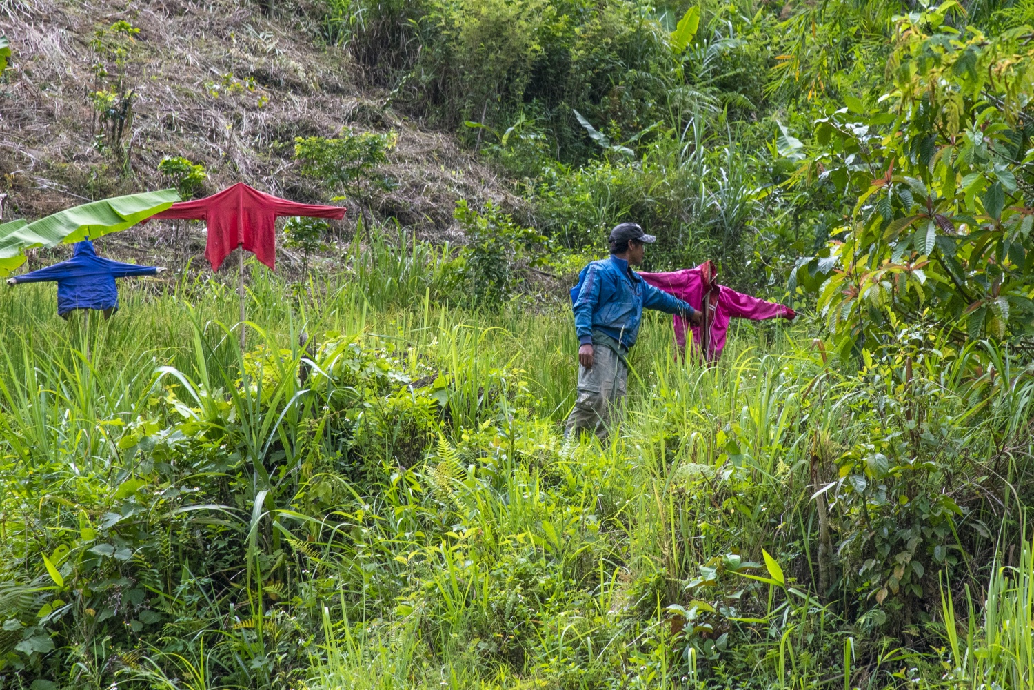 Say đắm vẻ đẹp ở Ngọc Linh Say đắm vẻ đẹp ở Ngọc Linh