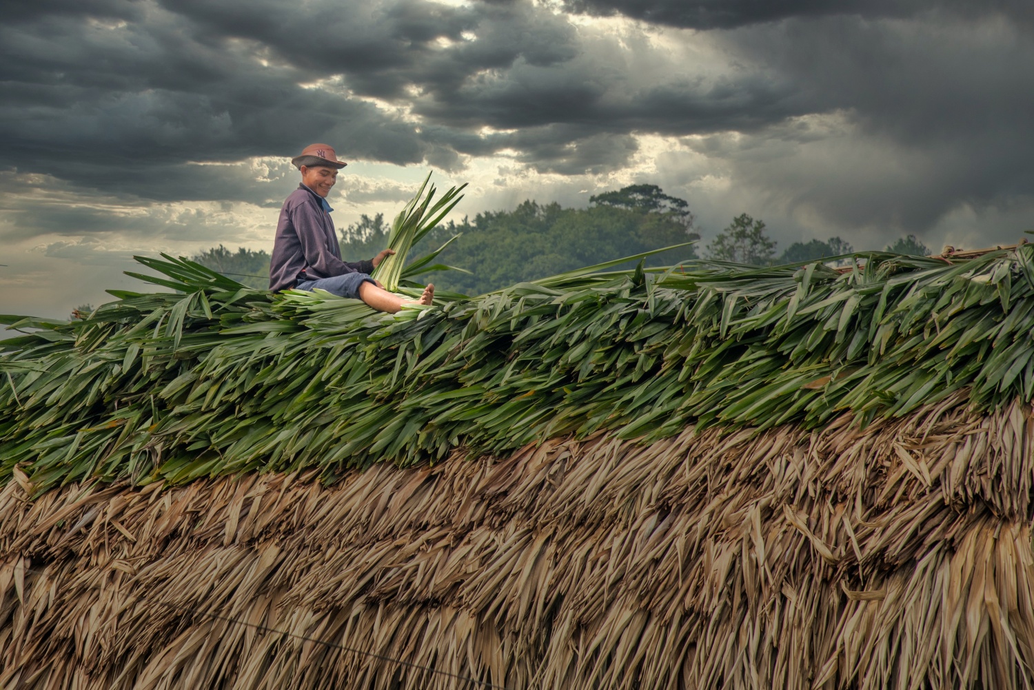 Say đắm vẻ đẹp ở Ngọc Linh Say đắm vẻ đẹp ở Ngọc Linh