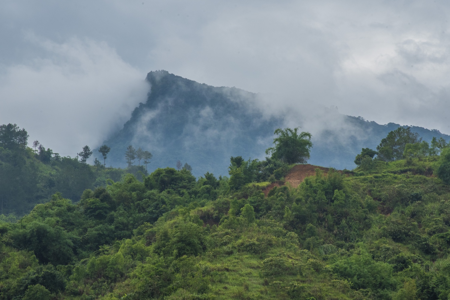 Say đắm vẻ đẹp ở Ngọc Linh Say đắm vẻ đẹp ở Ngọc Linh
