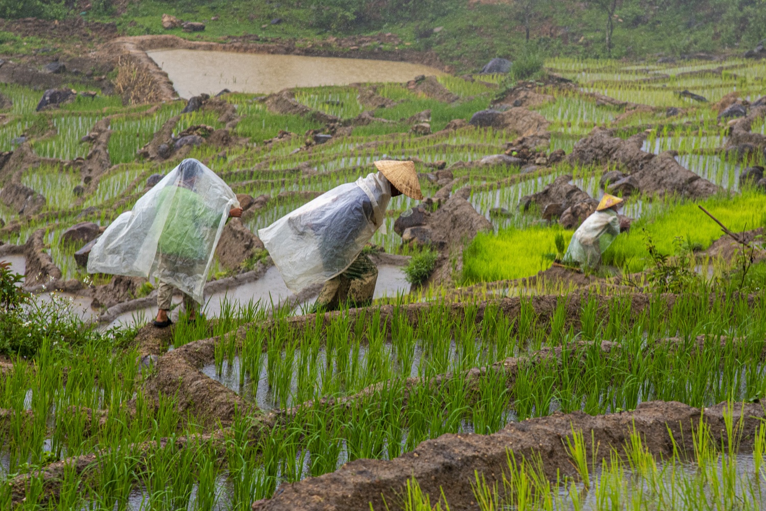 Say đắm vẻ đẹp ở Ngọc Linh Say đắm vẻ đẹp ở Ngọc Linh