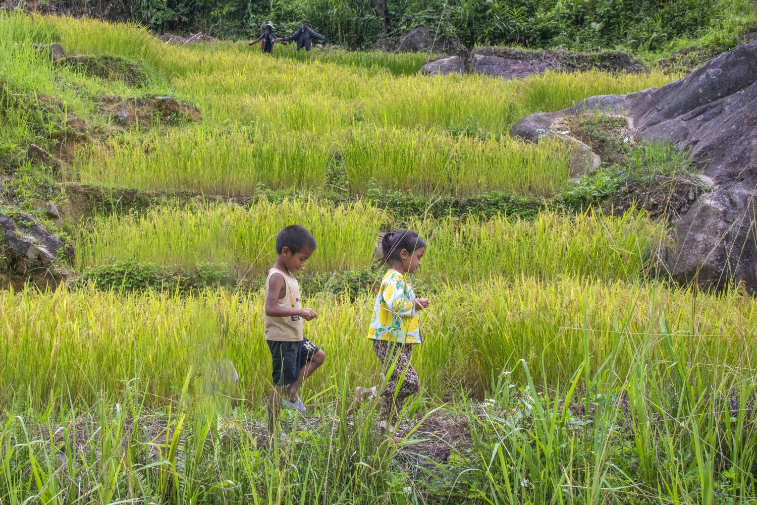 Say đắm vẻ đẹp ở Ngọc Linh Say đắm vẻ đẹp ở Ngọc Linh