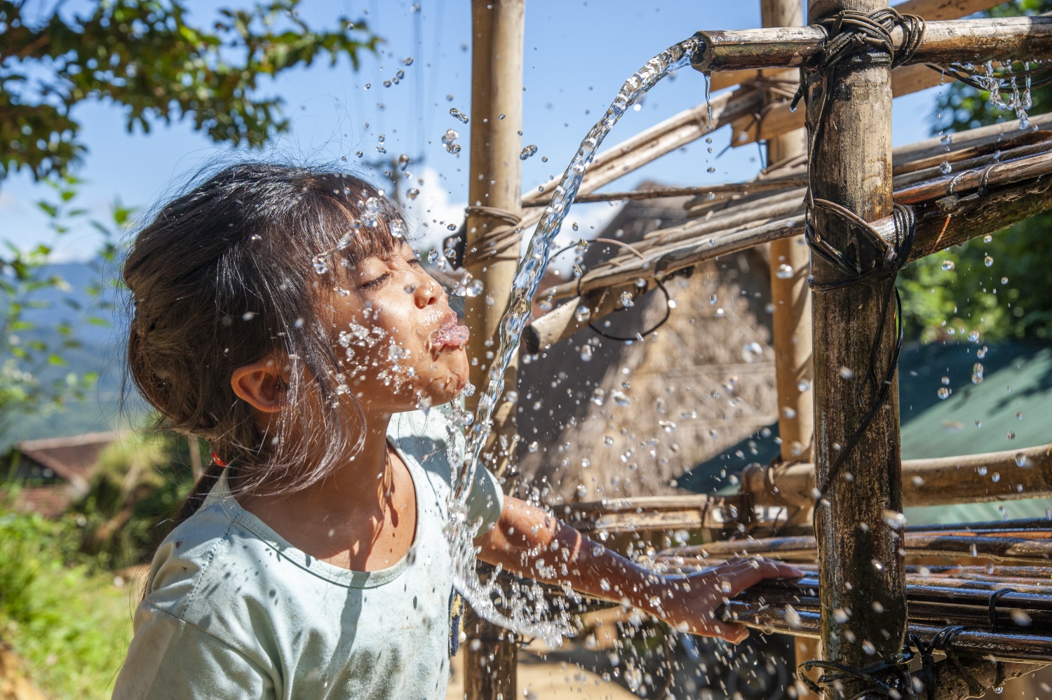 Say đắm vẻ đẹp ở Ngọc Linh Say đắm vẻ đẹp ở Ngọc Linh
