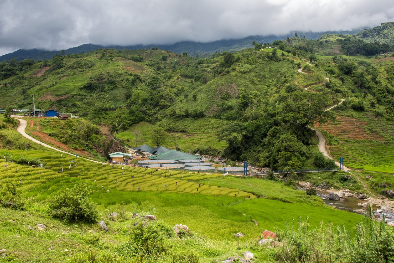 Say đắm vẻ đẹp ở Ngọc Linh Say đắm vẻ đẹp ở Ngọc Linh