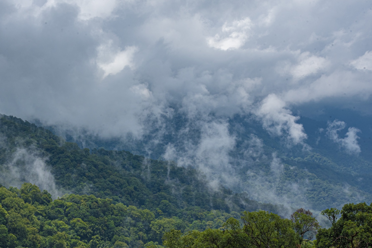 Say đắm vẻ đẹp ở Ngọc Linh Say đắm vẻ đẹp ở Ngọc Linh