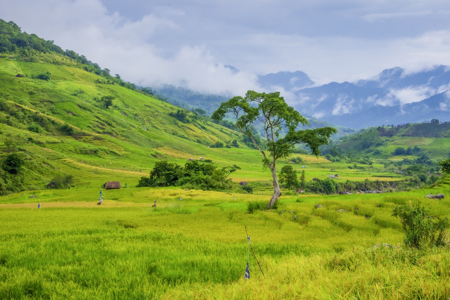 Say đắm vẻ đẹp ở Ngọc Linh Say đắm vẻ đẹp ở Ngọc Linh