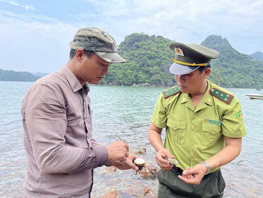 Bảo tồn hệ sinh thái biển Vườn Quốc gia Bái Tử Long