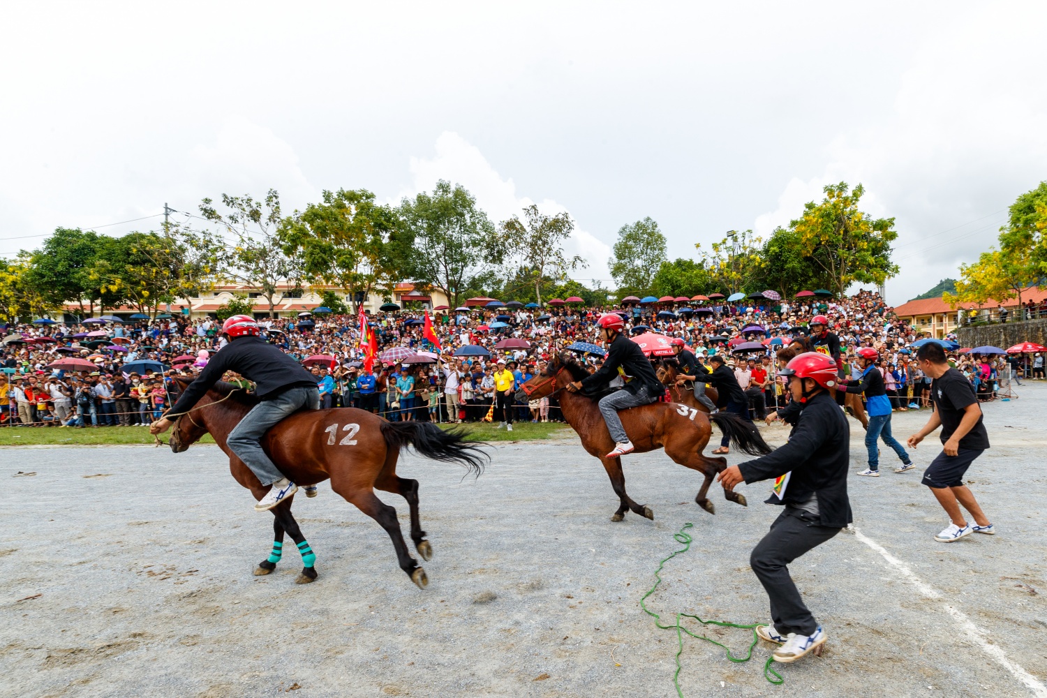 [Chùm ảnh] Hấp dẫn giải đua ngựa thồ nơi 