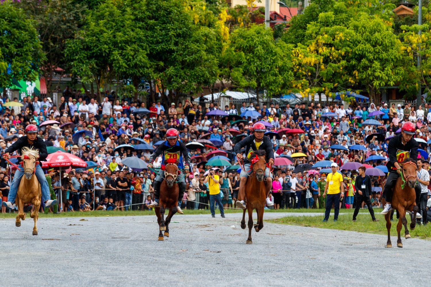 [Chùm ảnh] Hấp dẫn giải đua ngựa thồ nơi 
