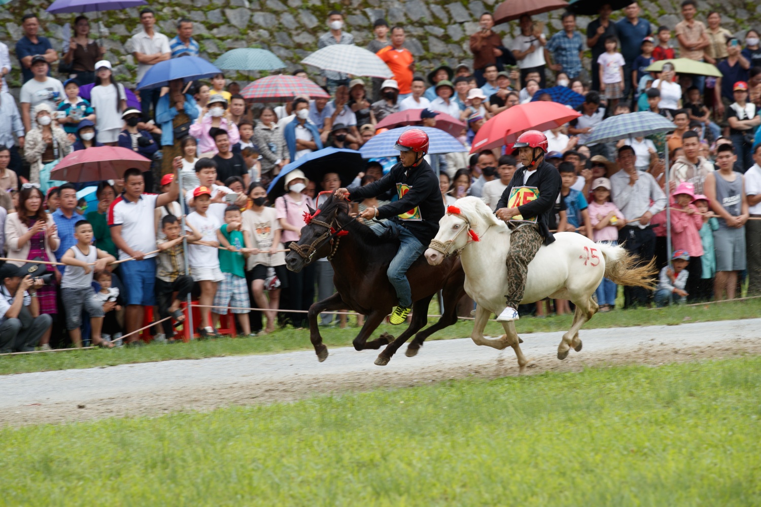 [Chùm ảnh] Hấp dẫn giải đua ngựa thồ nơi 