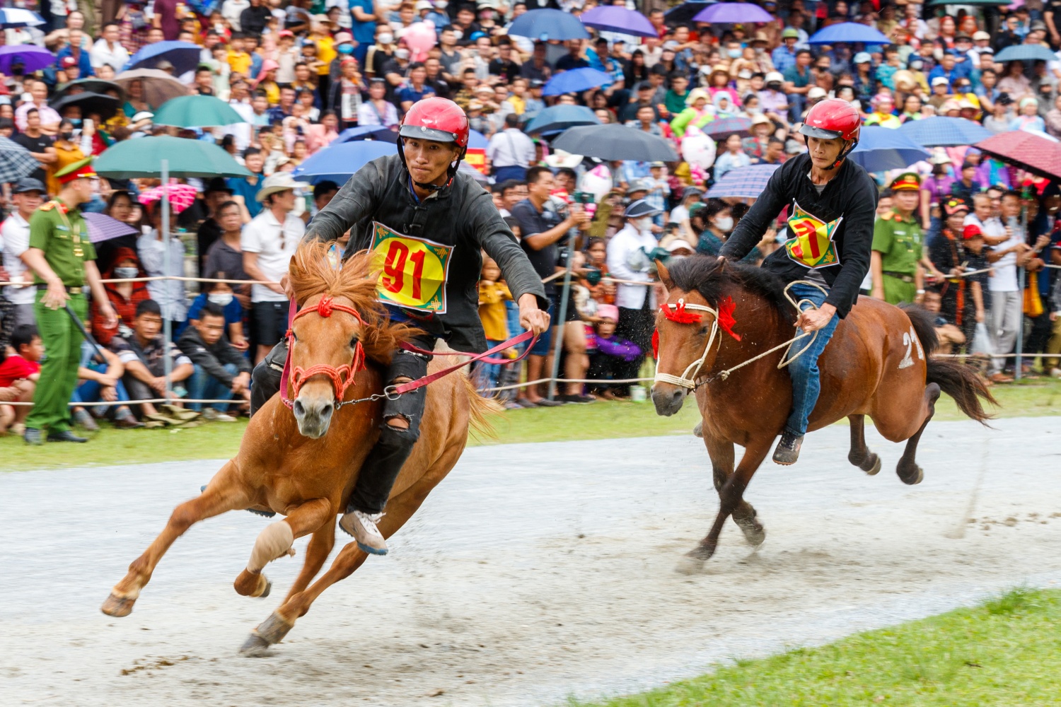 [Chùm ảnh] Hấp dẫn giải đua ngựa thồ nơi 