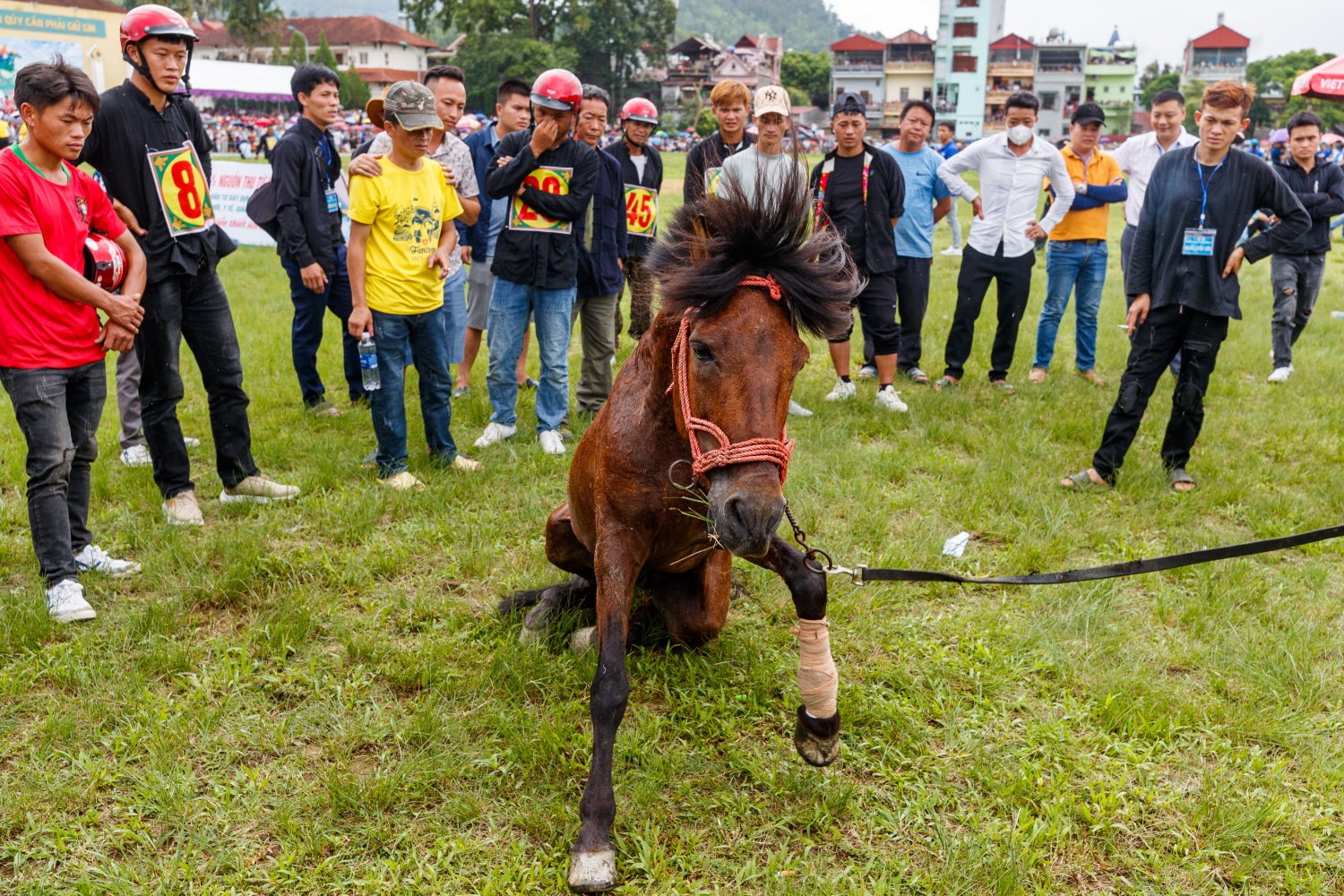 [Chùm ảnh] Hấp dẫn giải đua ngựa thồ nơi 