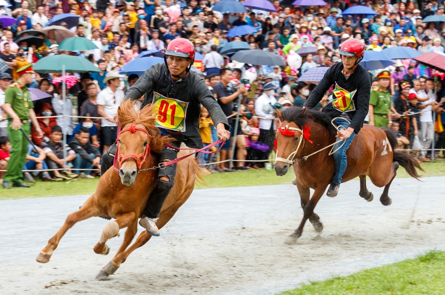 [Chùm ảnh] Hấp dẫn giải đua ngựa thồ nơi "Cao nguyên trắng"