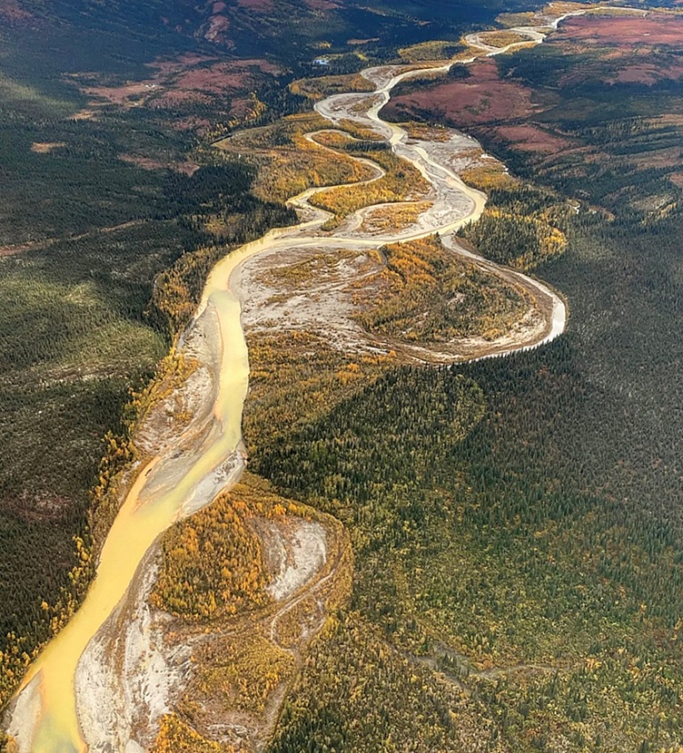 Tại sao sông suối Alaska chuyển màu cam?