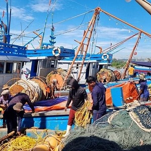Tin tức kinh tế ngày 10/6: Xuất khẩu thủy sản dự báo phục hồi tích cực