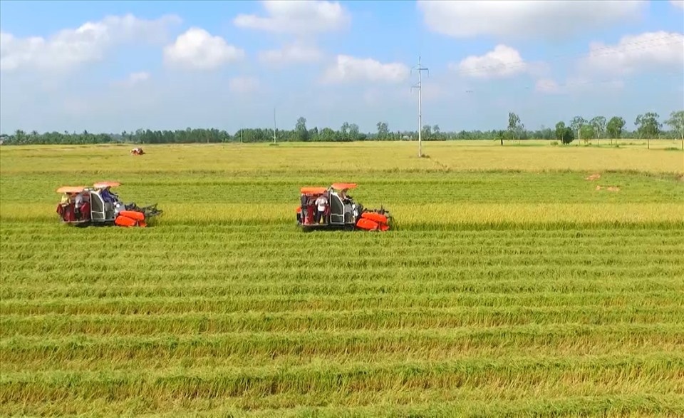Tin Xây dựng - Bất động sản ngày 13/6: Sẽ giám sát về quản lý thị trường bất động sản ở Đồng Nai