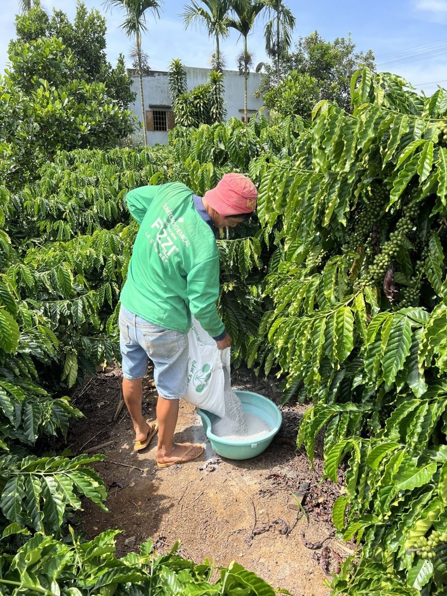 Luật thuế 71 khiến giá phân bón tăng cao, nông dân “điêu đứng”
