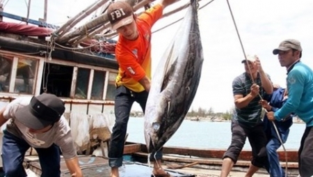 Tiềm năng phát triển kinh tế biển của Bạc Liêu