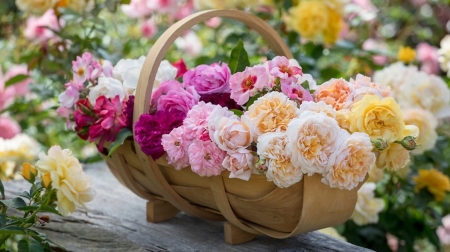 Tử vi ngày 26/6/2024: Tuổi Thân nhanh nhạy đoán ý, tuổi Tỵ hành xử đúng mực