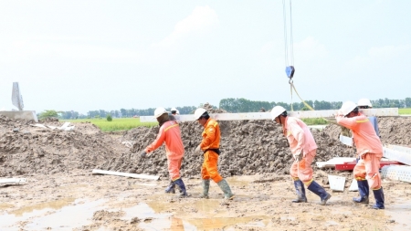 Vượt nắng gió, “đua” tiến độ đường dây 500kV mạch 3
