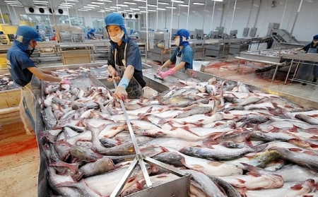 Giá thủy sản xuất khẩu sụt giảm, kỳ vọng thị trường phục hồi vào cuối năm