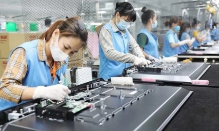 Tin tức kinh tế ngày 28/6: Tổng vốn FDI đăng ký mới tăng 13%