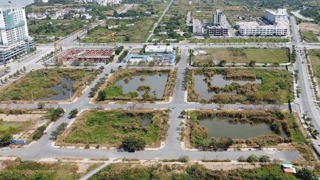 Tin Xây dựng - Bất động sản ngày 29/6: Bỏ cọc trúng đấu giá đất sẽ bị cấm đấu giá 5 năm theo quy định mới