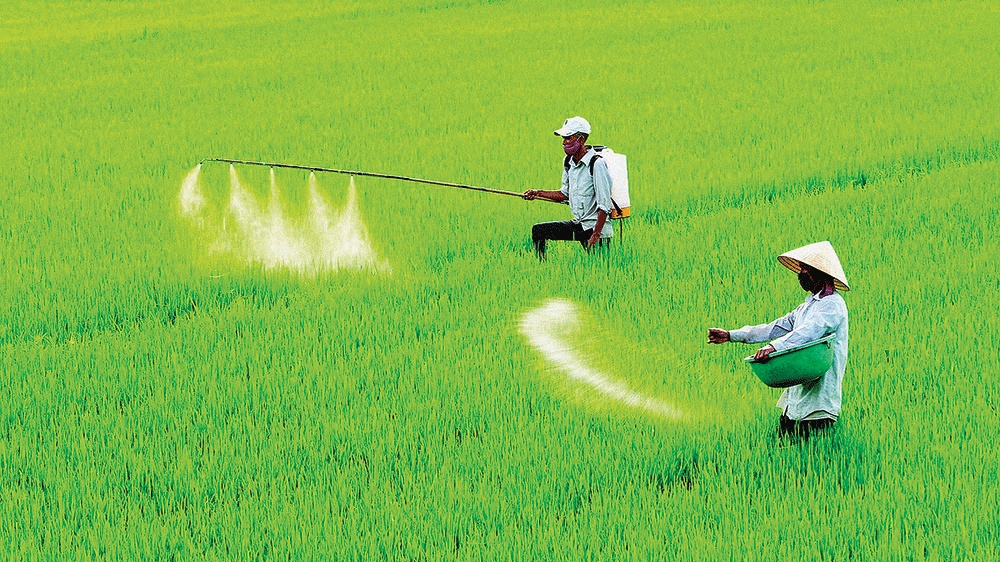 “Nóng” từ nhà máy, đồng ruộng đến nghị trường