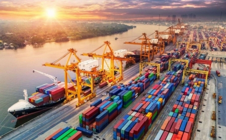 Ngoại lực của kinh tế Việt Nam