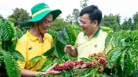 Phát thải khí nhà kính: Tầm nhìn, cơ hội và thách thức đối với PVCFC